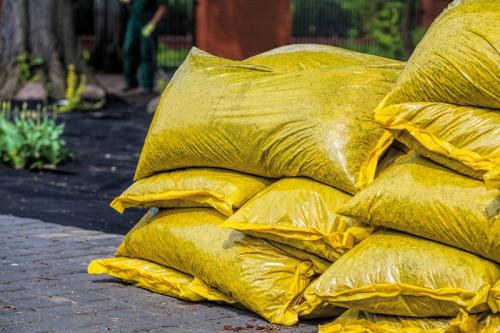 Можно ли сажать чеснок очищенный от чешуи.