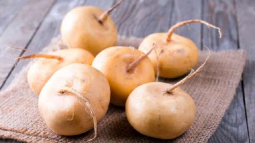 Где растет репа. Что такое репа, как выглядит на фото, как ее готовить и употреблять