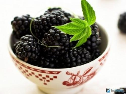 Малина ежевика польза. Что полезнее малина или ежевика?