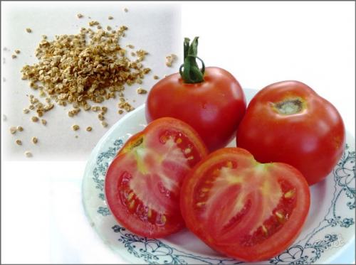Как собрать семена с помидор на рассаду. Как правильно собрать семена томатов