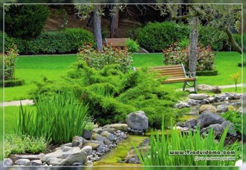 Хвойные растения в садах японского стиля 14