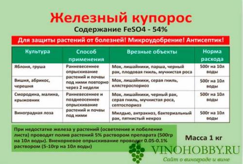 Что лучше медный или железный купорос для винограда. Железный купорос для винограда