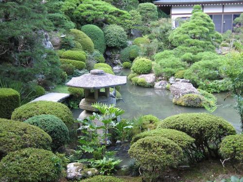 Японский Сад план. С чего начать создание японского сада