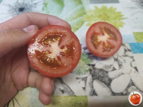 Свои семена томатов, как правильно сделать. Здравствуйте, уважаемые садоводы!