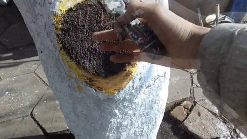 Как заделать дупло в сосне. Методы заделки дупла