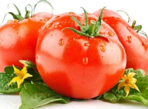 Помідор це ягода. Помідор – ягода чи все-таки овоч?