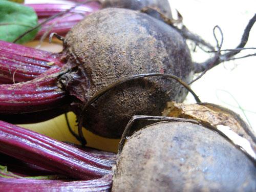 Как правильно бурак или свекла. Ударение в слове «СВЕКЛА» 03