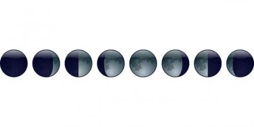 Выращивание корневого сельдерея. Когда сеять (сажать) корневой сельдерей на рассаду