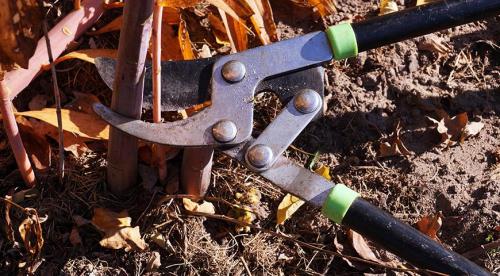 Обрезка на кольцо, что это. Что значит обрезать на кольцо? 05