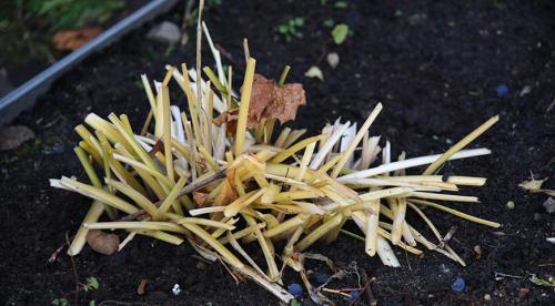 Обрезка на кольцо, что это. Что значит обрезать на кольцо? 03