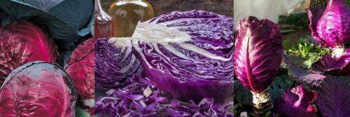 Когда появилась в россии капуста. История капусты 02