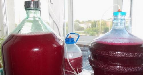 Вино из покупного винограда. Как просто и вкусно сделать домашнее вино из винограда