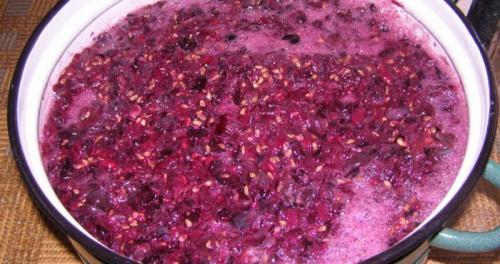 Вино из покупного винограда. Как просто и вкусно сделать домашнее вино из винограда