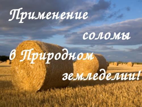 Как использовать солому на даче. Применение и роль соломы в природном земледелии!