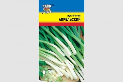 Как растет лук в картинках. Какие сорта многолетнего лука существуют и как правильно его выращивать?