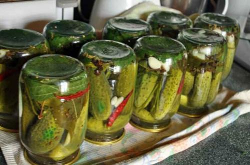 Можно ли солить горькие огурцы. Как солить горькие огурцы на зиму и можно ли это делать?