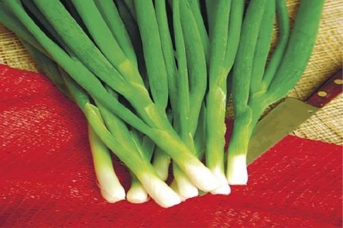 Как растет лук в картинках. Какие сорта многолетнего лука существуют и как правильно его выращивать?