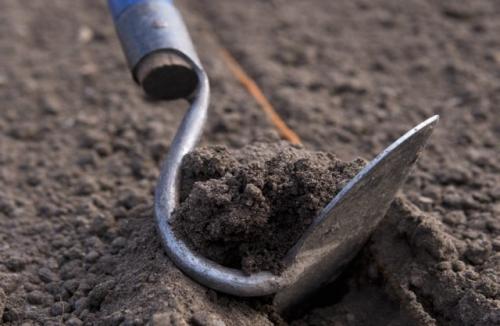 Какие овощи можно сеять под зиму сроки посева. Как подготовить грядки для подзимнего сева овощей