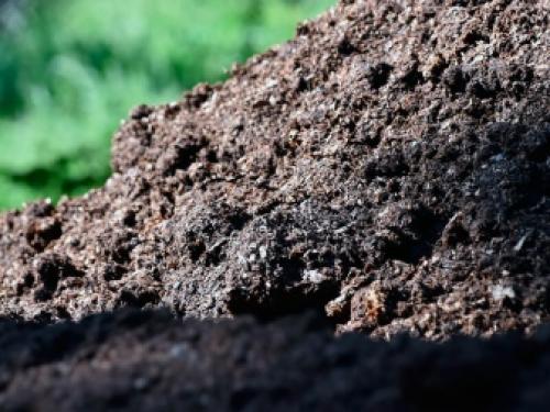 Компост и перегной в чем разница. Чем отличается компост от перегноя, как заготавливать и что лучше? 03