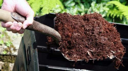 Как удобрять перегноем. Все о перегное
