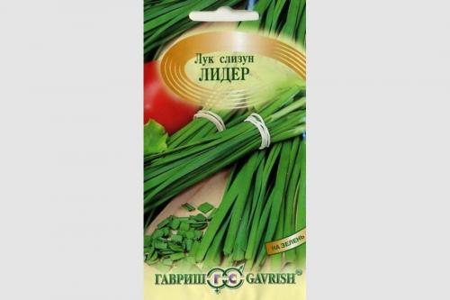 Как растет лук в картинках. Какие сорта многолетнего лука существуют и как правильно его выращивать?