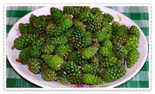 Шишки на туях нужно ли удалять. Почему появляются шишки на туе и нужно ли их удалять 08