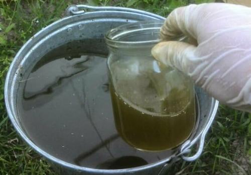 Амофоска для клубники. Подкормка клубники осенью, особенности внесения удобрений