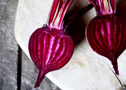 Свекла творОг ударение. Как правильно ставить ударение в слове «свекла»