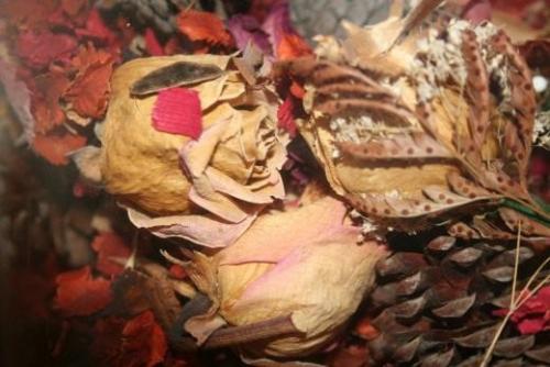 Как правильно хранить сухоцветы. Как правильно засушить растения