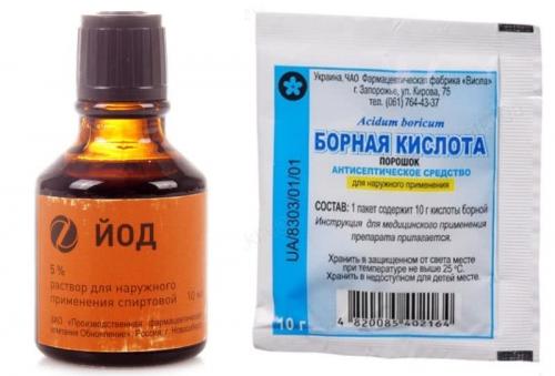 Удобрение для клубники своими руками. Подкормка клубники народными средствами