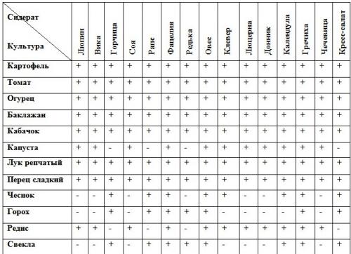 Посадка горчицы в теплицу весной. Основные растения-сидераты