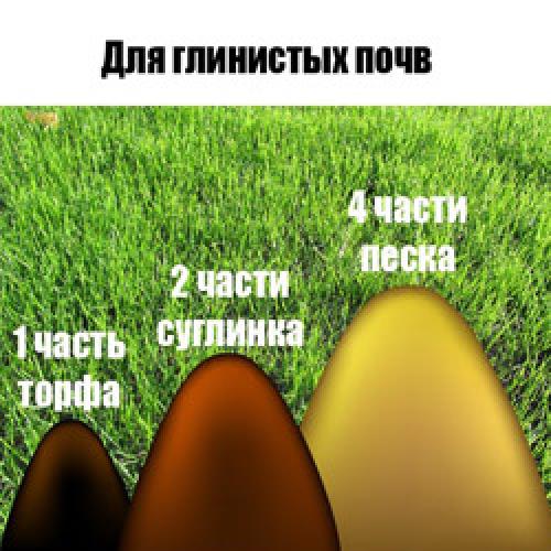 Мульчирование газона на зиму. Мульчирование газона: способы и виды