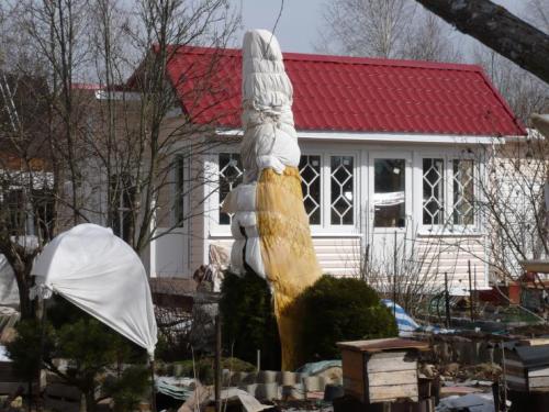 Нужно ли на зиму укрывать можжевельник. Зачем укрывать можжевельник на зиму 03