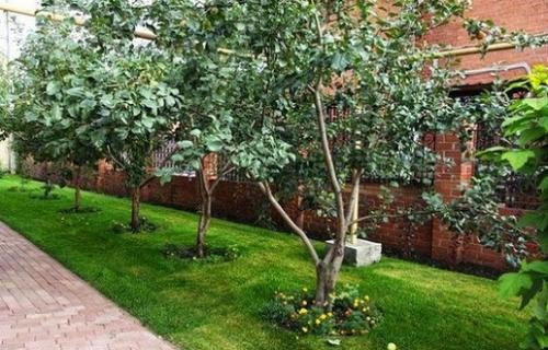 Что лучше дом или дача. Всем, у кого дача или частный дом, желательно знать…