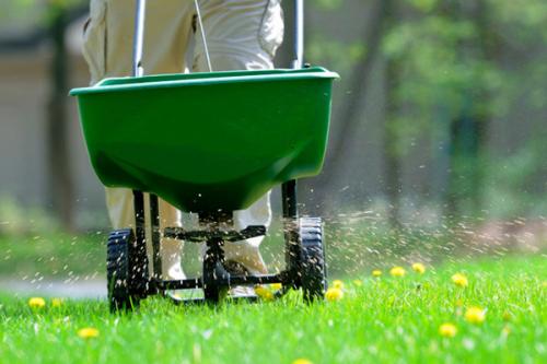 Мульчирование газона на зиму. Мульчирование газона: способы и виды