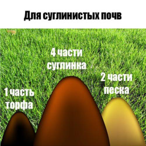 Мульчирование газона на зиму. Мульчирование газона: способы и виды