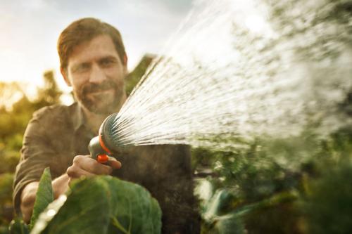 Когда перед зимой косить траву. Как подготовить газон к зиме? 07