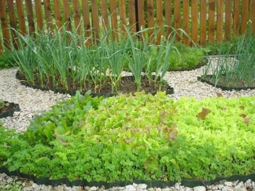 Грядки готовим к зиме. Как правильно соблюсти очередность подготовки 04 Грядки готовим к зиме. Как правильно соблюсти очередность подготовки 04