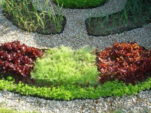 Грядки готовим к зиме. Как правильно соблюсти очередность подготовки 03 Грядки готовим к зиме. Как правильно соблюсти очередность подготовки 03