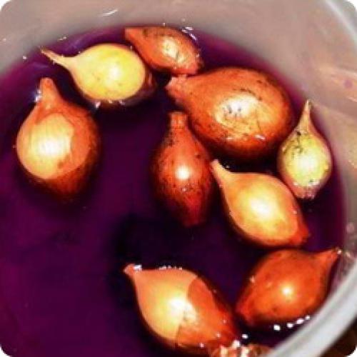 Откуда берется лук-севок. ОСОБЕННОСТИ ВЫРАЩИВАНИЯ РЕПЧАТОГО ЛУКА