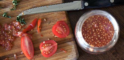 Как правильно заготавливать семена томатов. Как заготовить семена помидоров