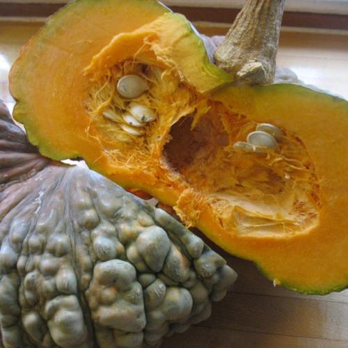 Сорта тыквы. Лучшие сорта тыквы