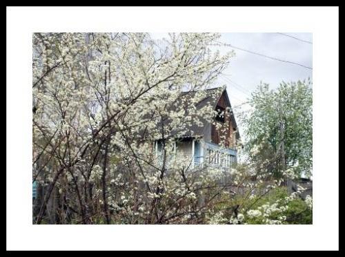 Что делать в дождь на даче. Весной на даче в дождливую погоду все равно хорошо