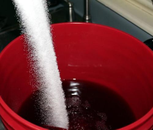 Что приготовить из кислого винограда. Вино из кислого винограда в домашних условиях