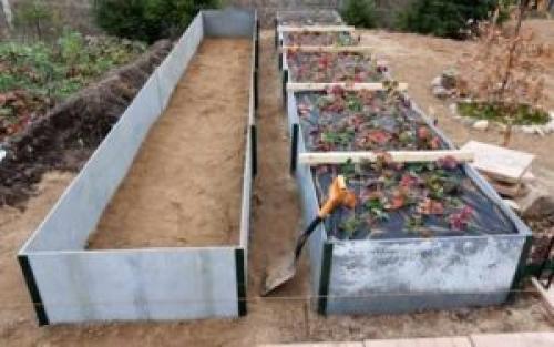 Ярусные грядки для клубники. Теплые грядки для клубники: как сделать своими руками, фото, размеры и посадка