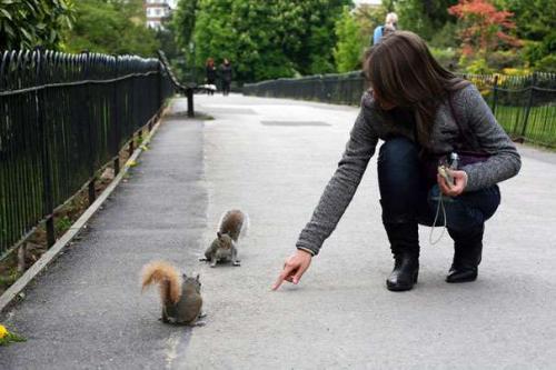 Почему грецкий орех называется грецким: происхождение названия 13