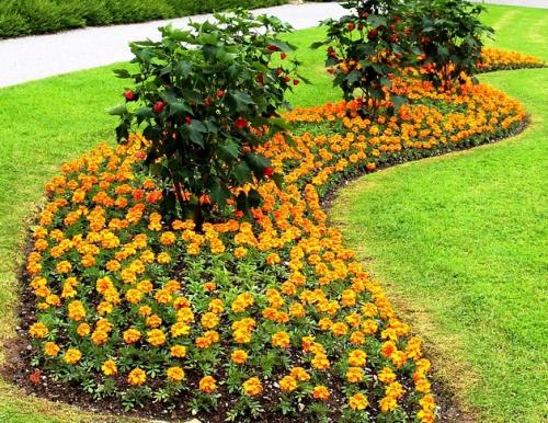 Партер будинку. Создаем партер