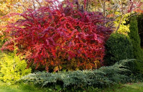 Партер будинку. Создаем партер
