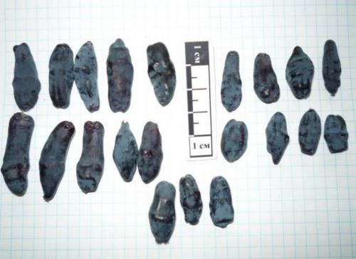 Что значит сорт самобесплодный. Что означает сорт самобесплодный? 09