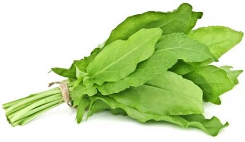 Как правильно писать свекла. Ударение в слове «СВЕКЛА» 05